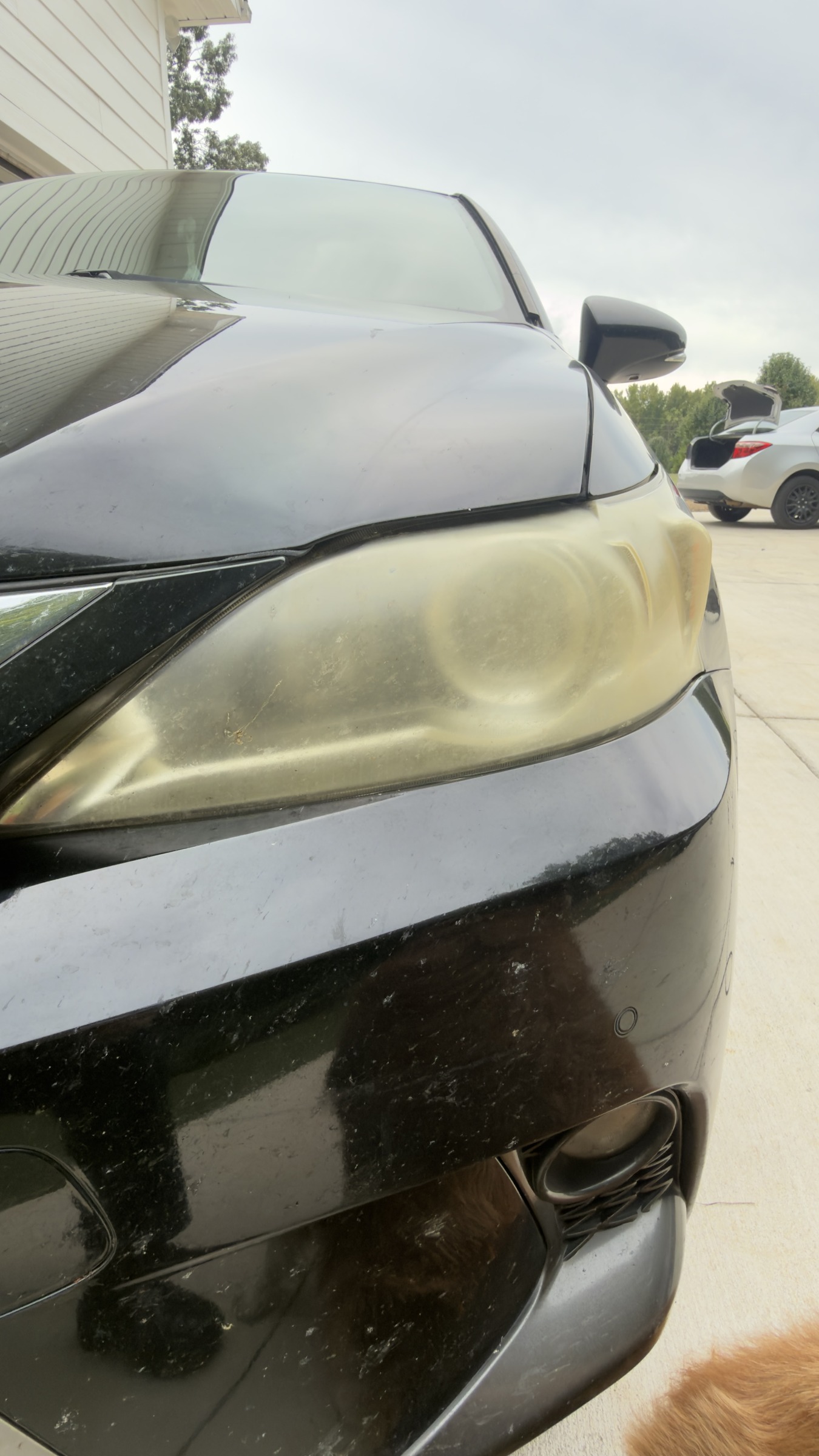 Cloudy Lexus headlight before restoration